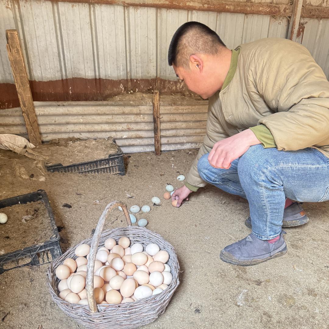 东北福成品质特产店