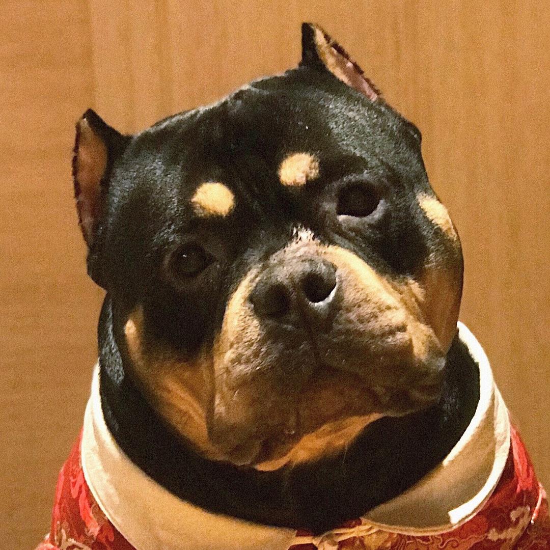 叫我刀疤