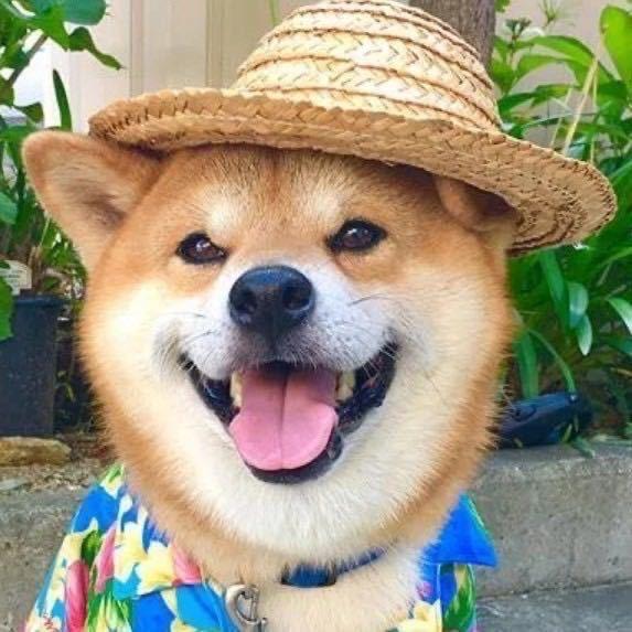 我是是是是火车王