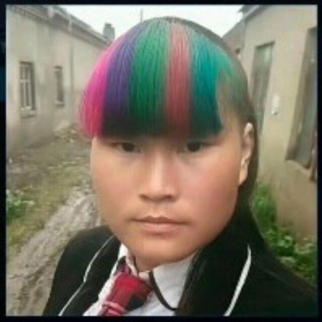牌牌科