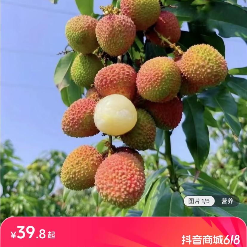 菌菌精选