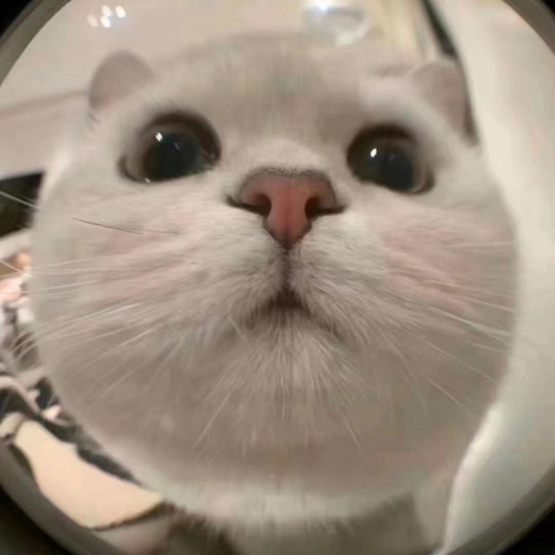 kiki