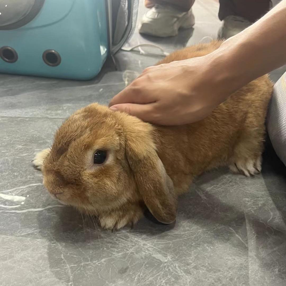 老铁匠铺