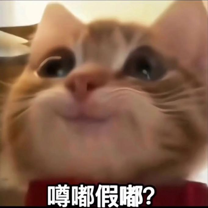 墨子学说唱