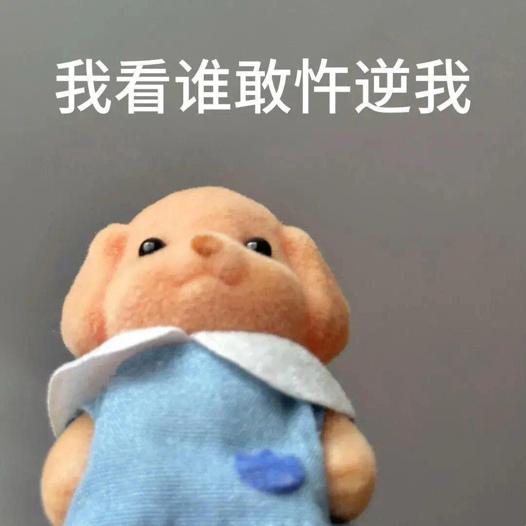 肉妮儿很多肉(160斤版)