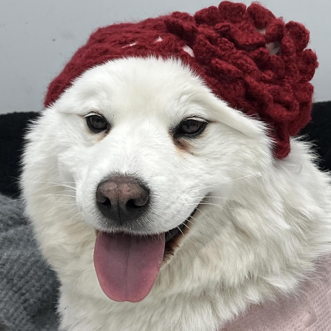 拾·一