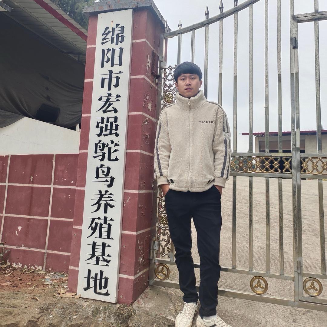 宏强鸵鸟甄选