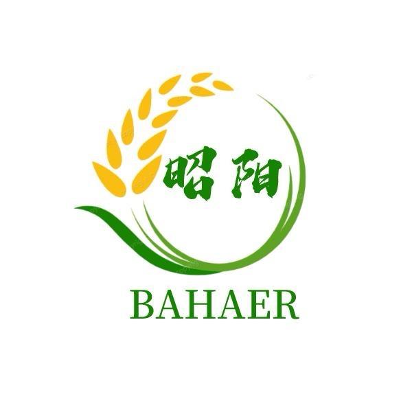 新疆召全面粉精选