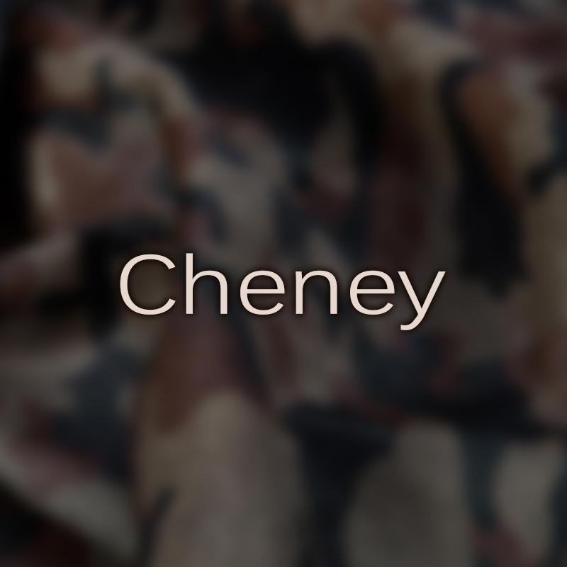 Cheney女鞋