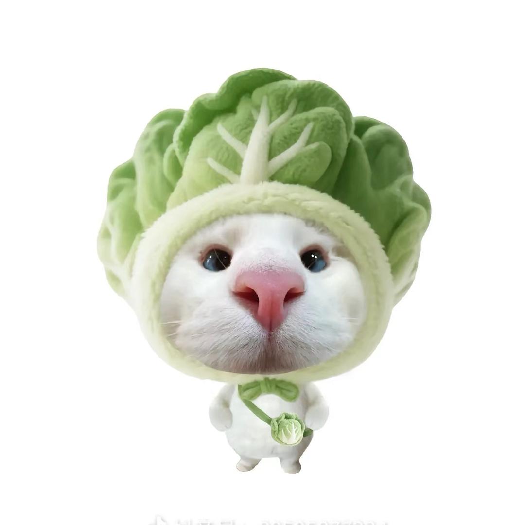 愤怒的小羊羔🐑