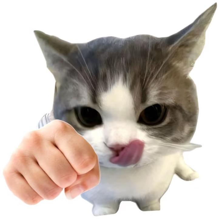 番茄瘦肉粥