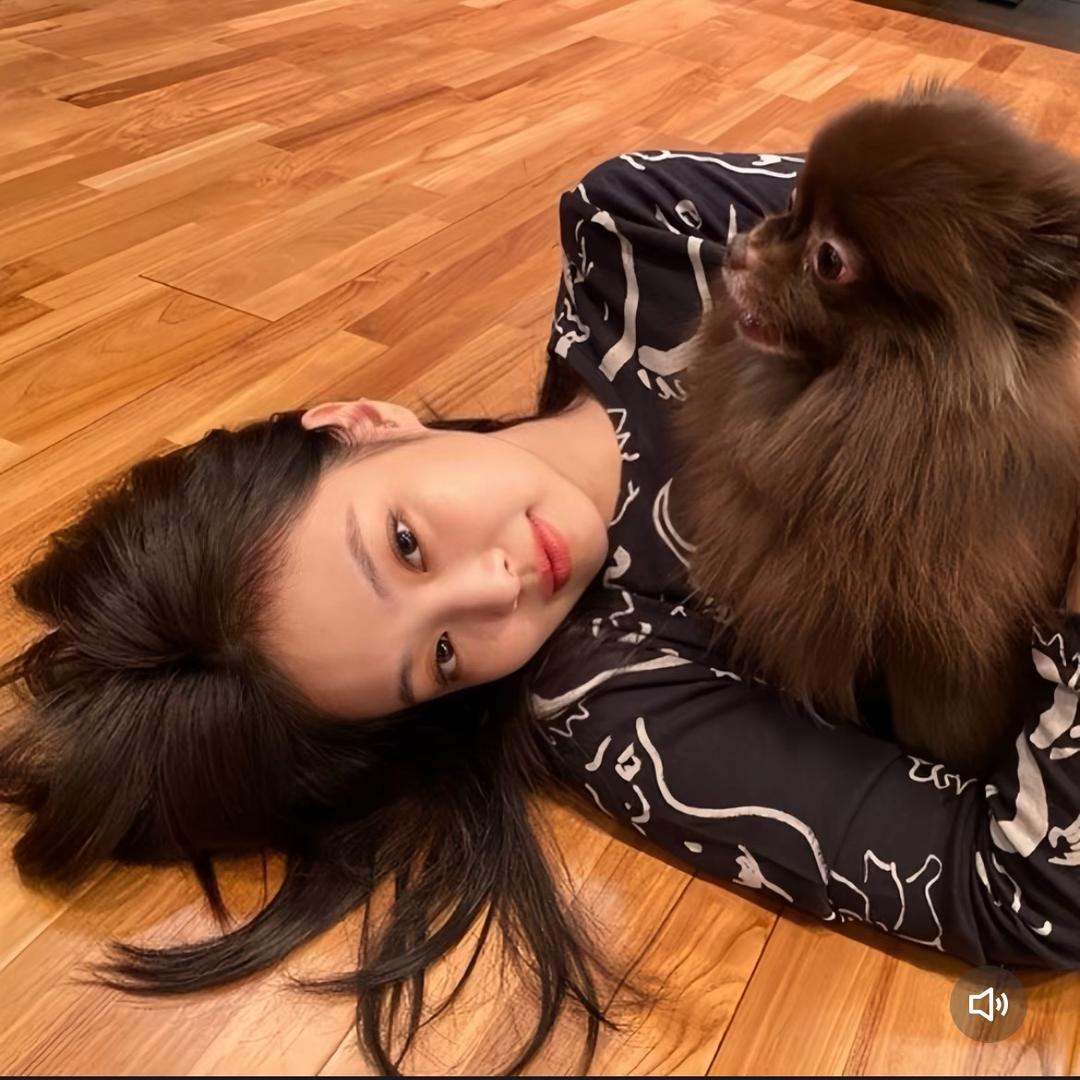 𝐒𝒂𝒚𝒂•｛分享好物｝