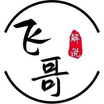 飞哥解说9119