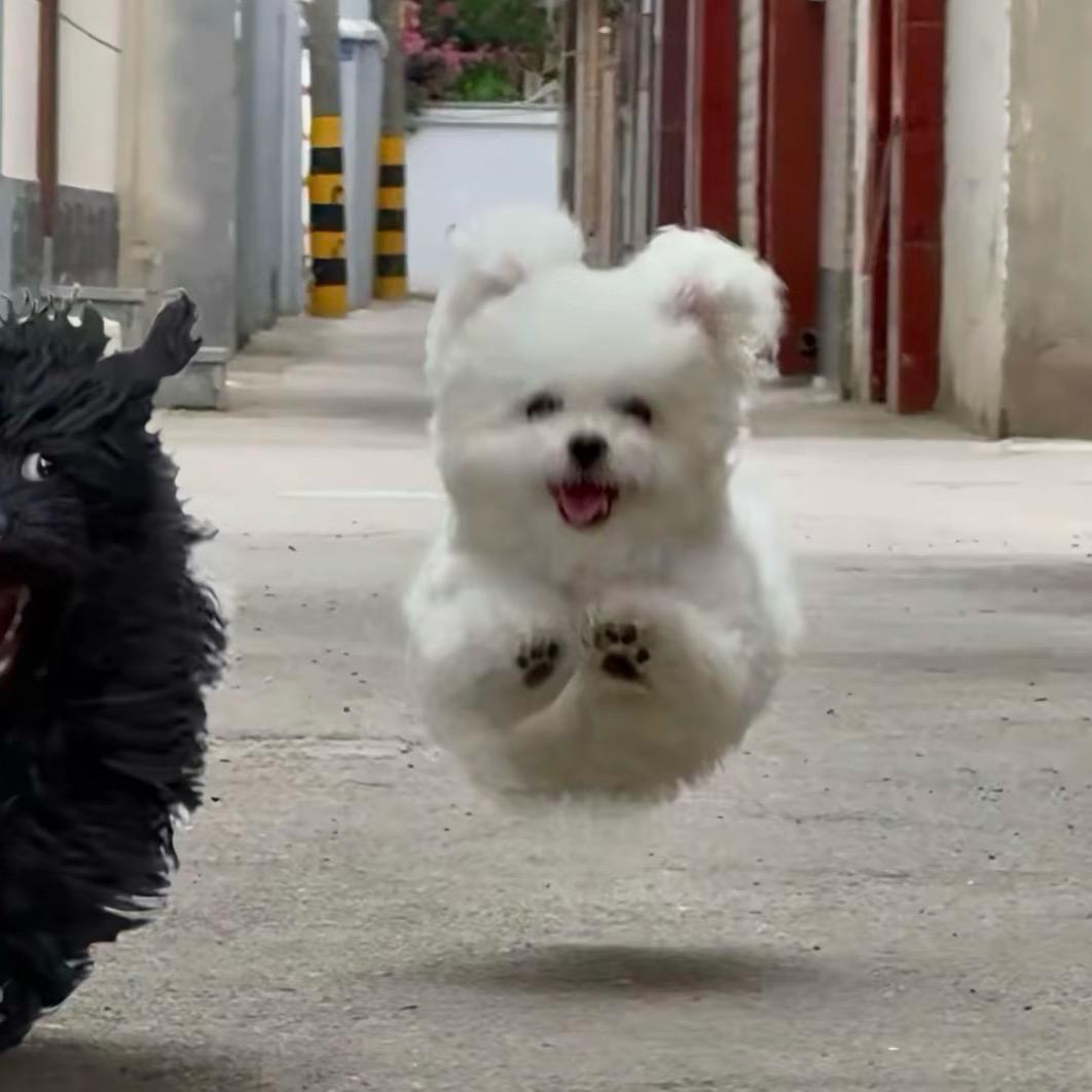 遇哈哈