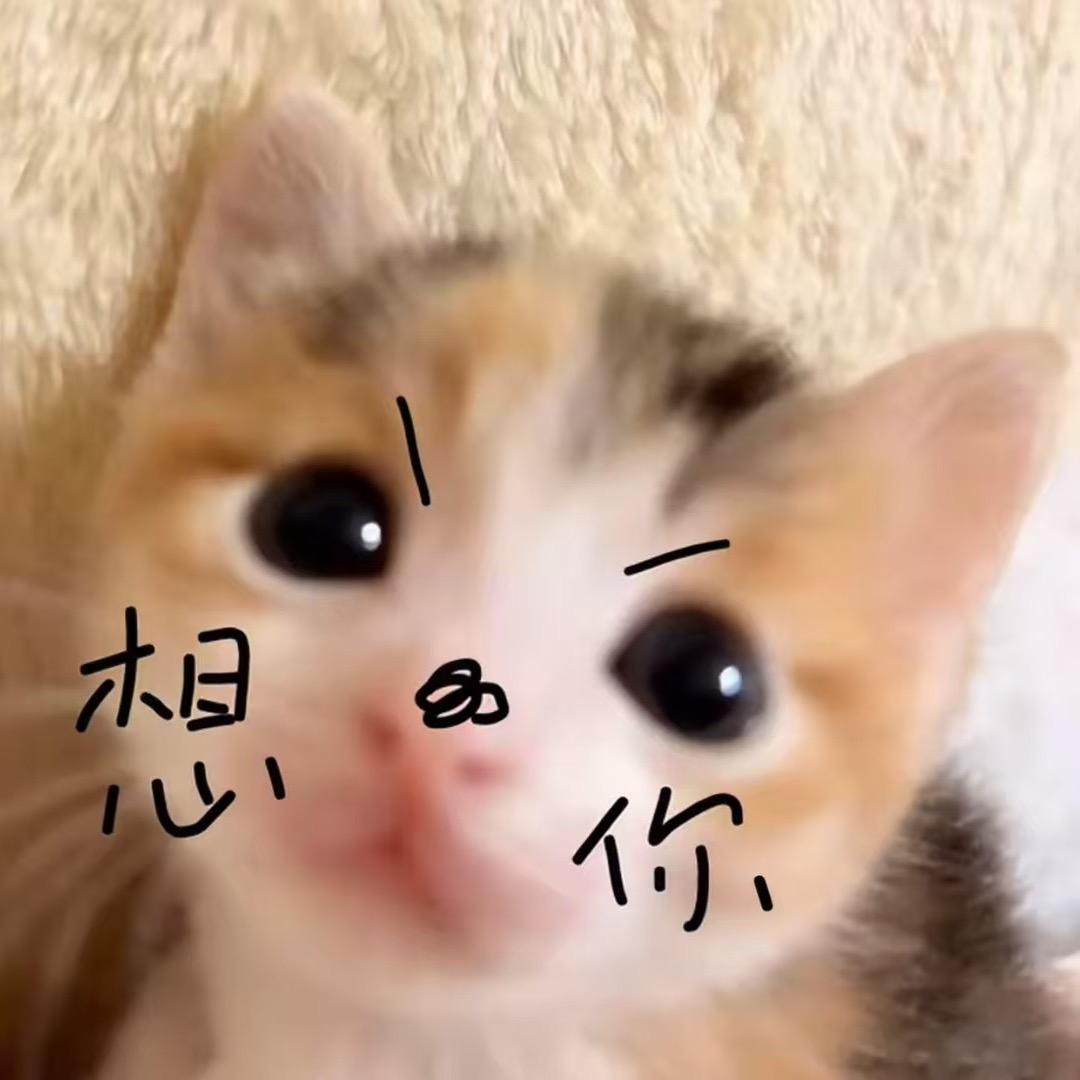 幸福请降临在小晴手心（接私占）