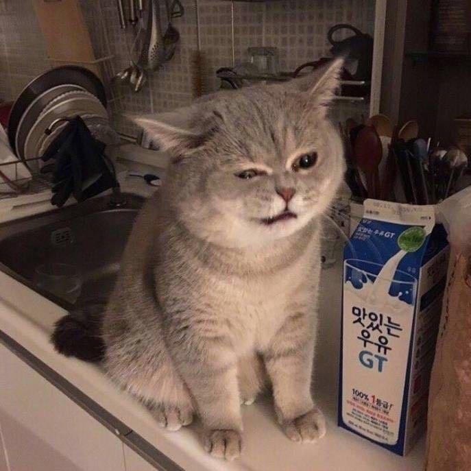 趣迈家居