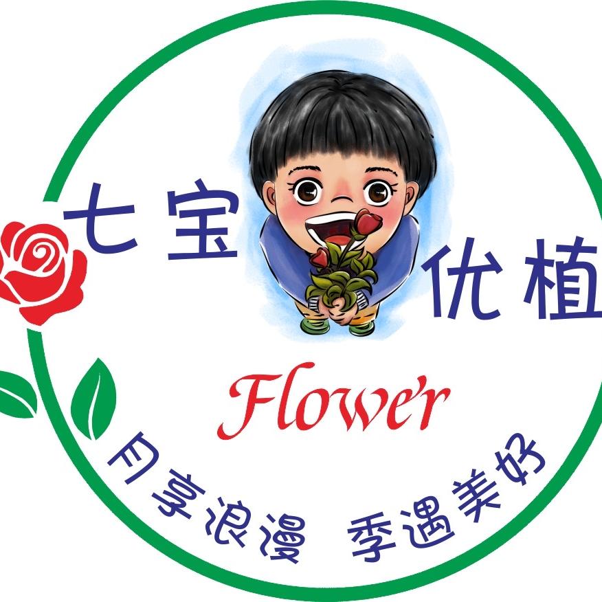 七宝优植
