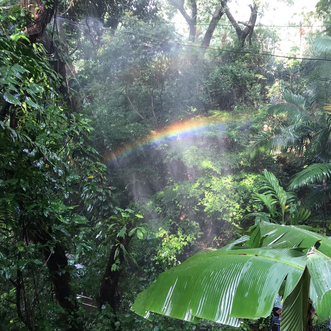 黄牛短剧（互粉互助）