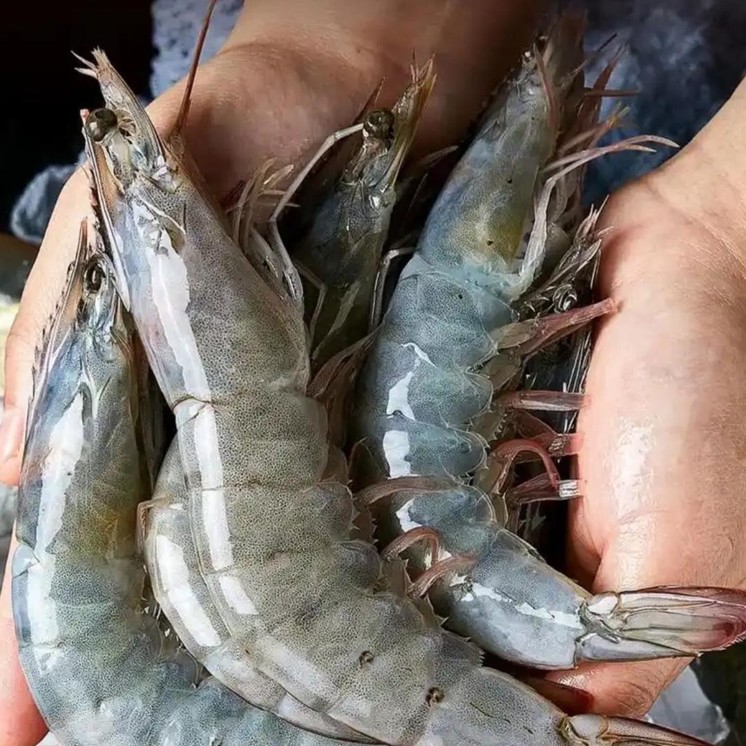 谦合源新疆优选