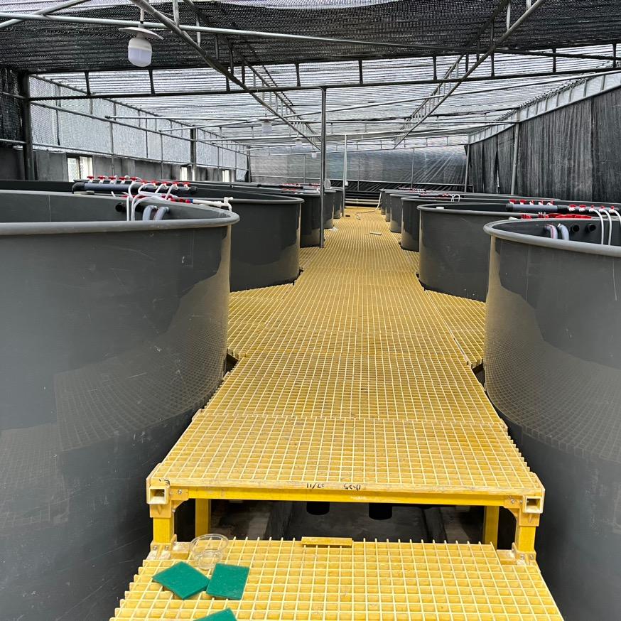 ༺余生༄❤༅随心༻༃