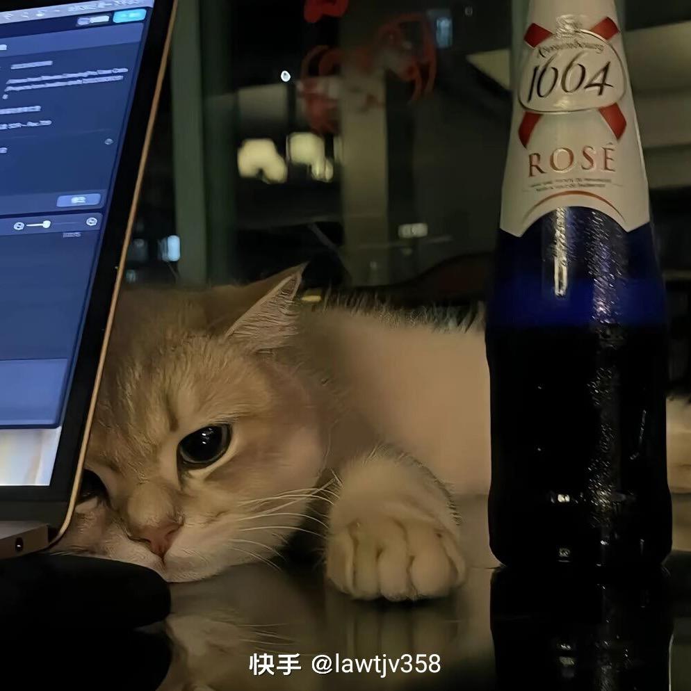 人间俗人