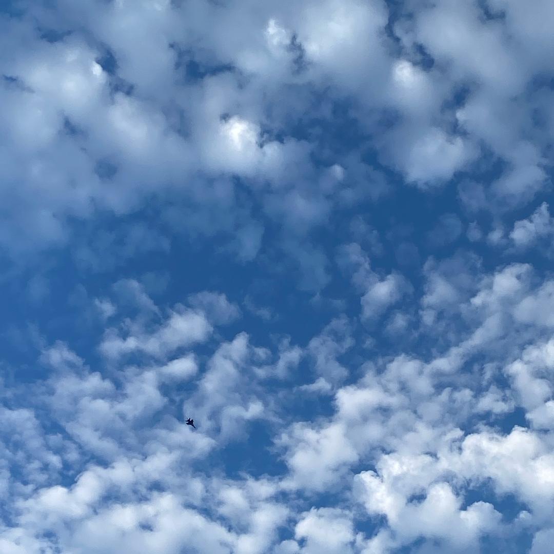 抚顺峰范单招-明明老师