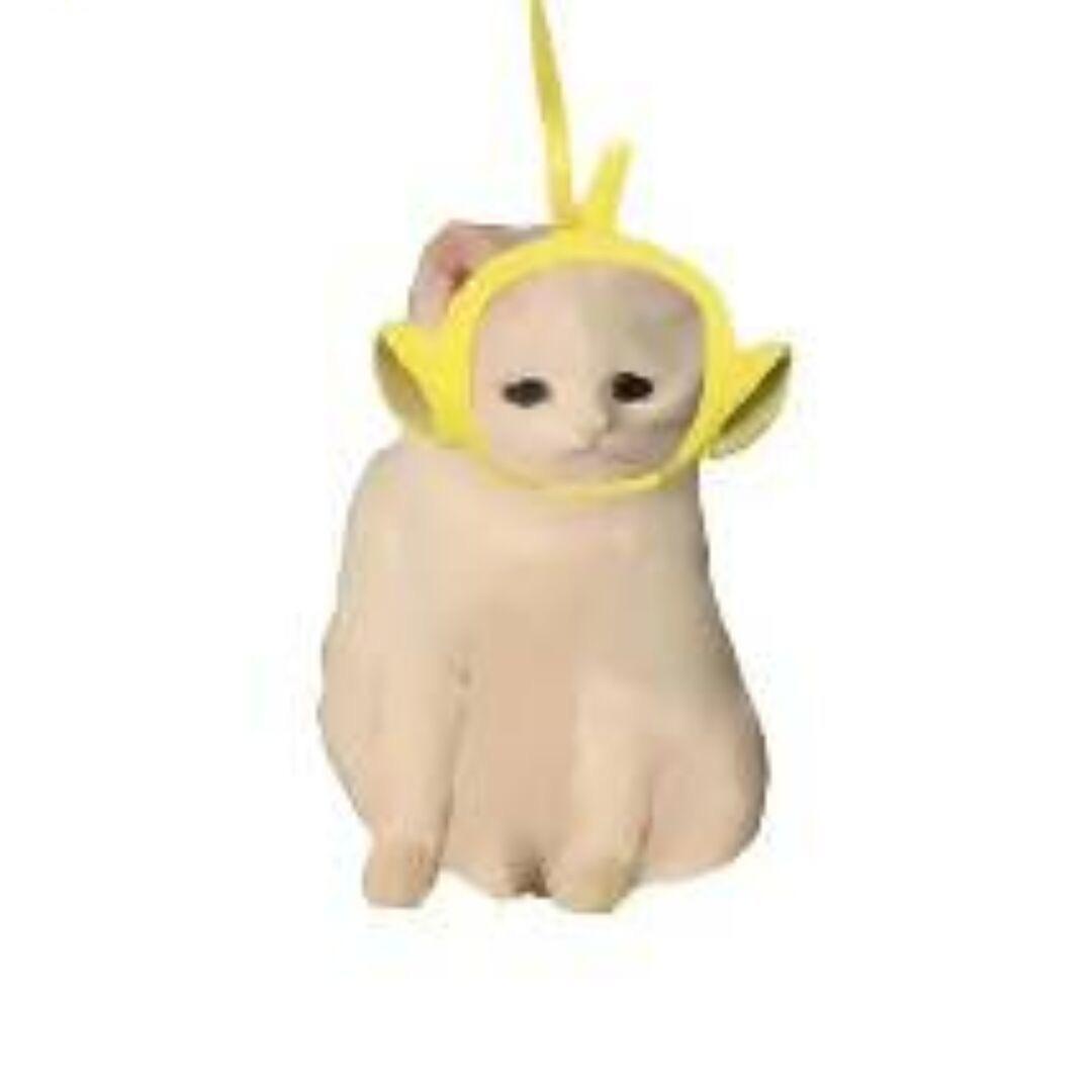 林宝🐱