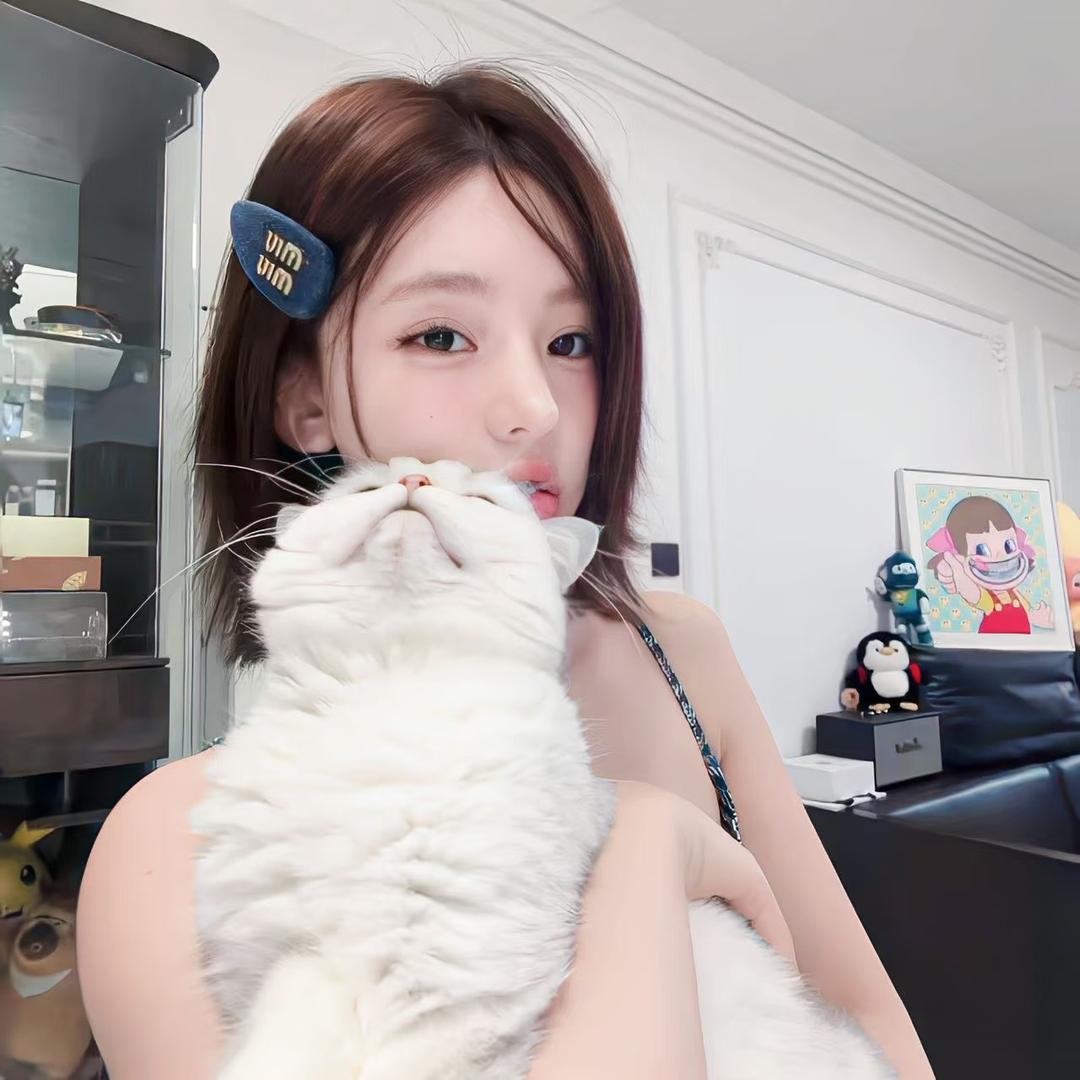 心宝宝