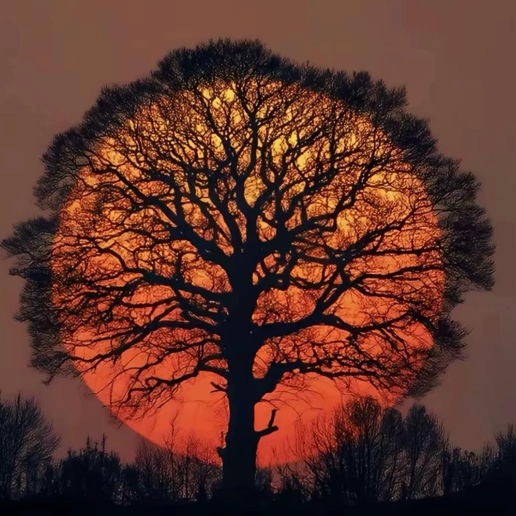 🇿℡⁵²⁸¹¹¹