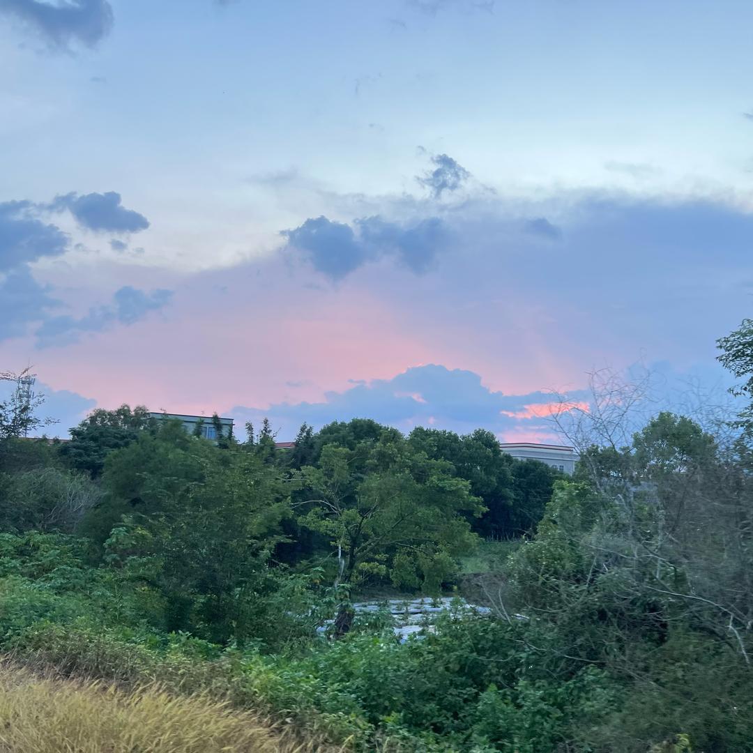 Douyin小帅（马可波罗/孙权）