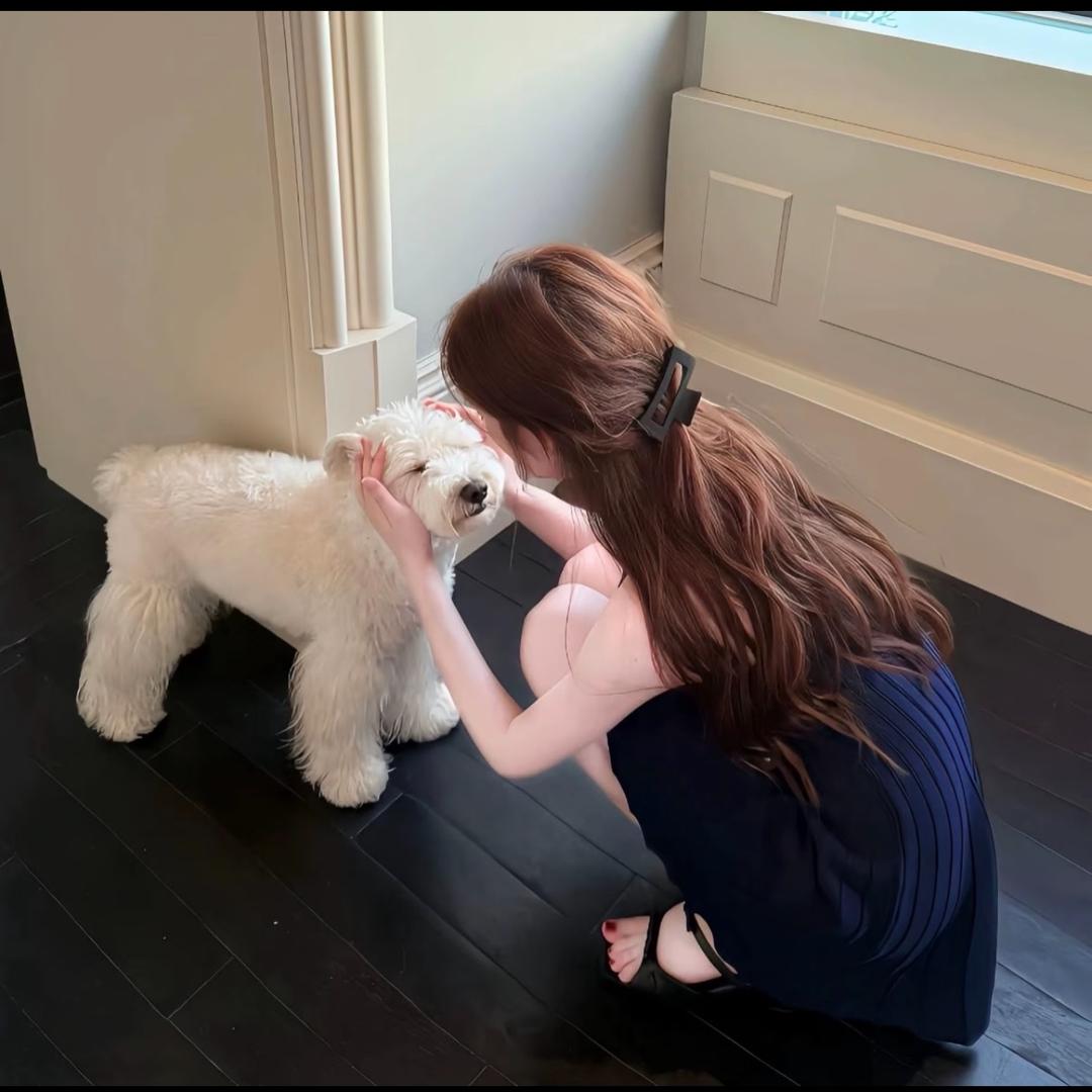 人间游玩小狐狸