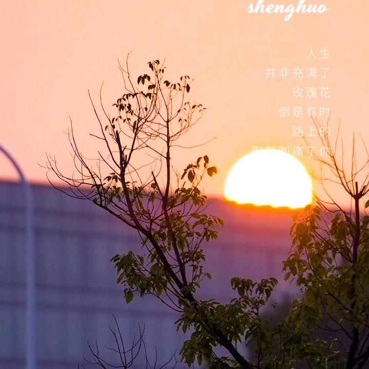 会飞的小K