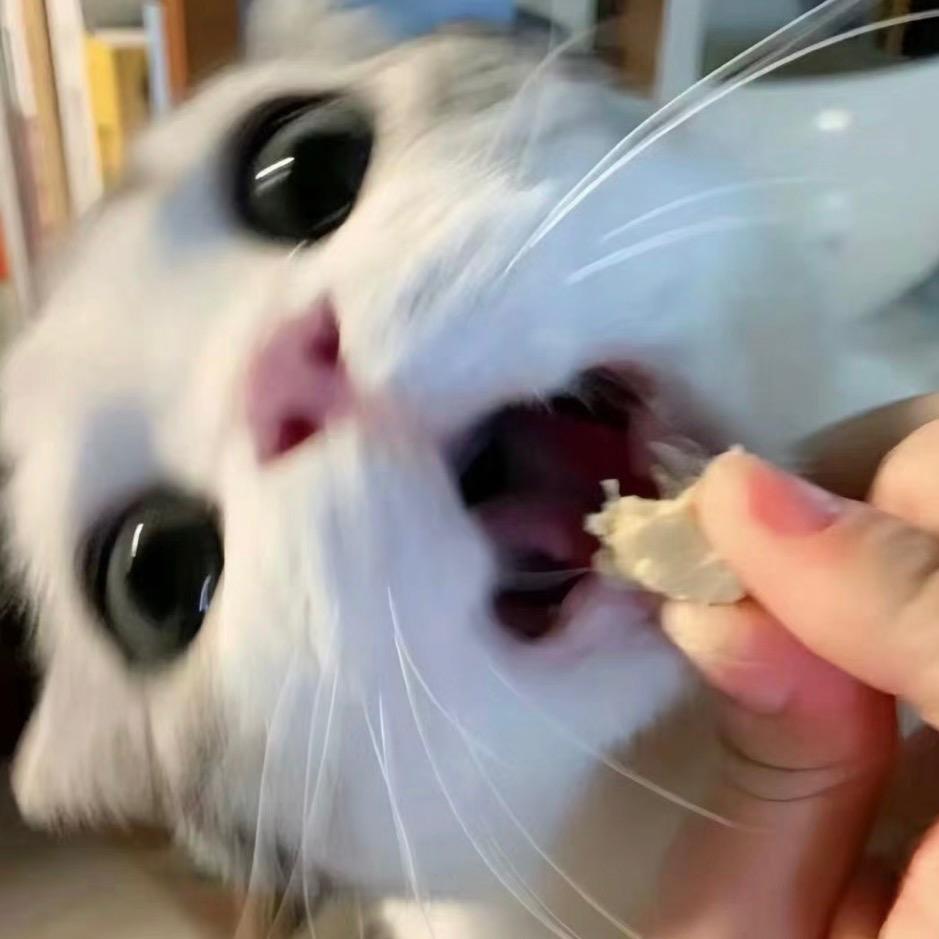 OTuTo