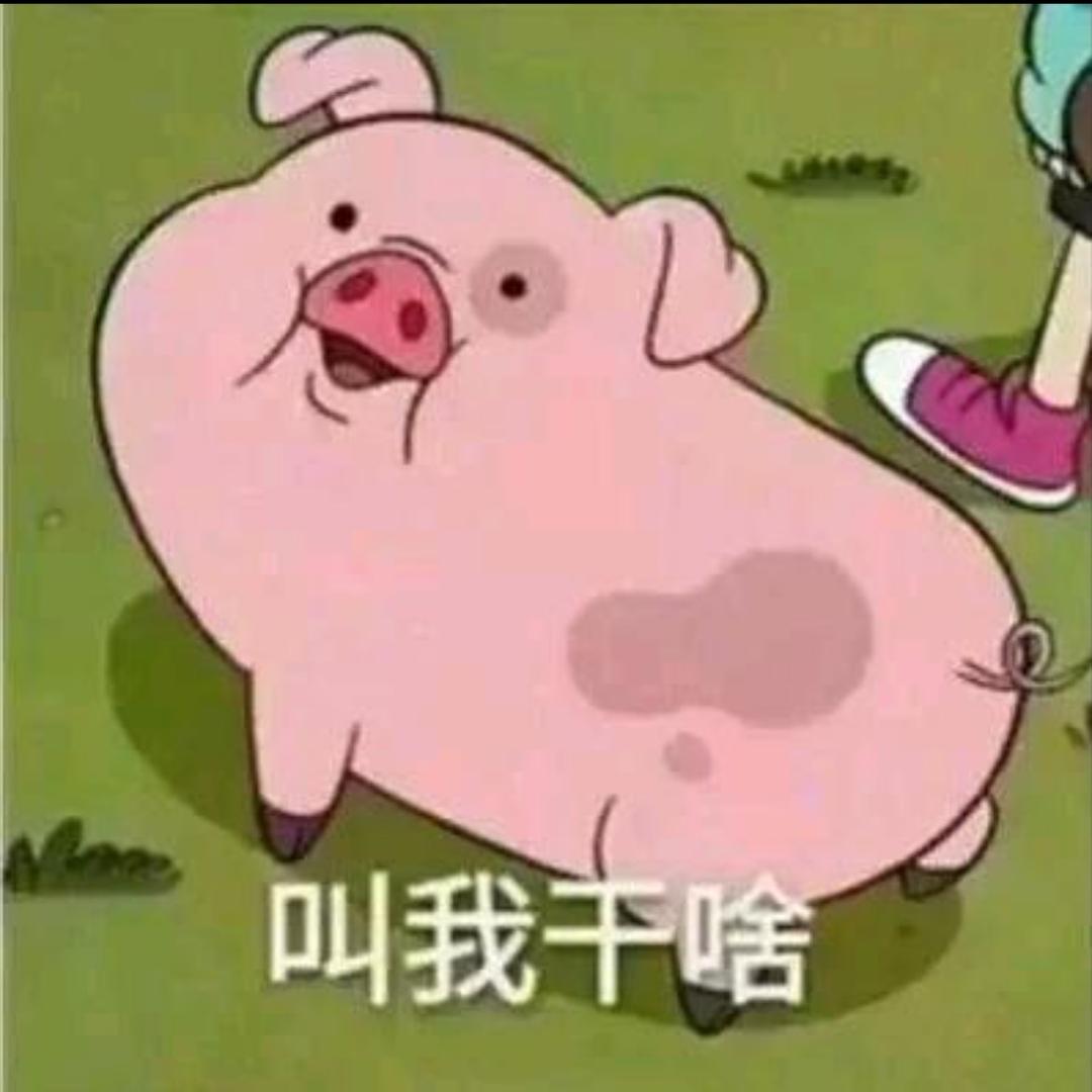 老徐大哥6