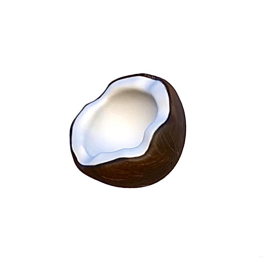 🥥코코넛🥥