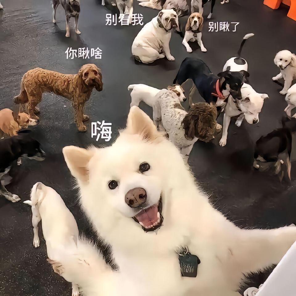 啦啦