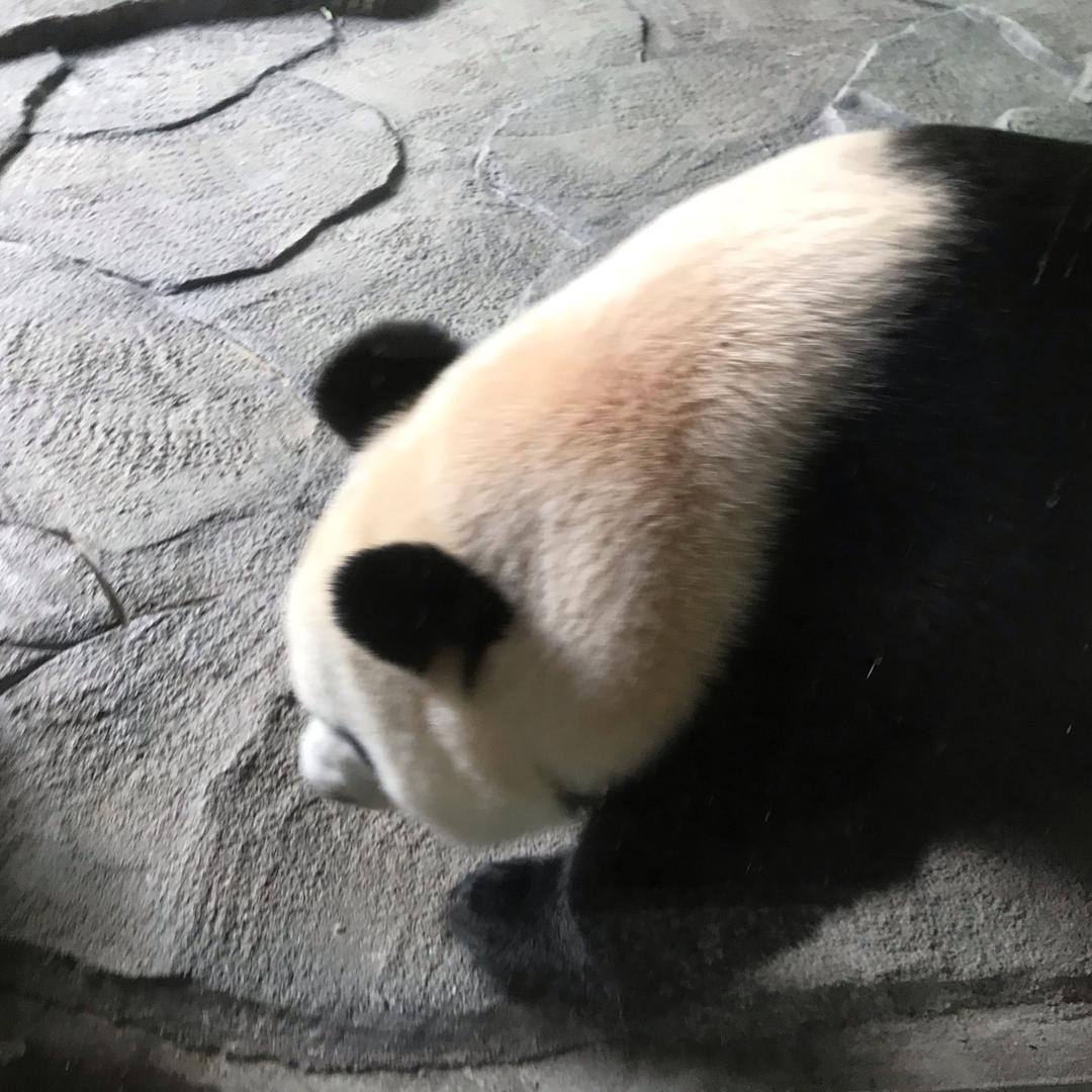 滢