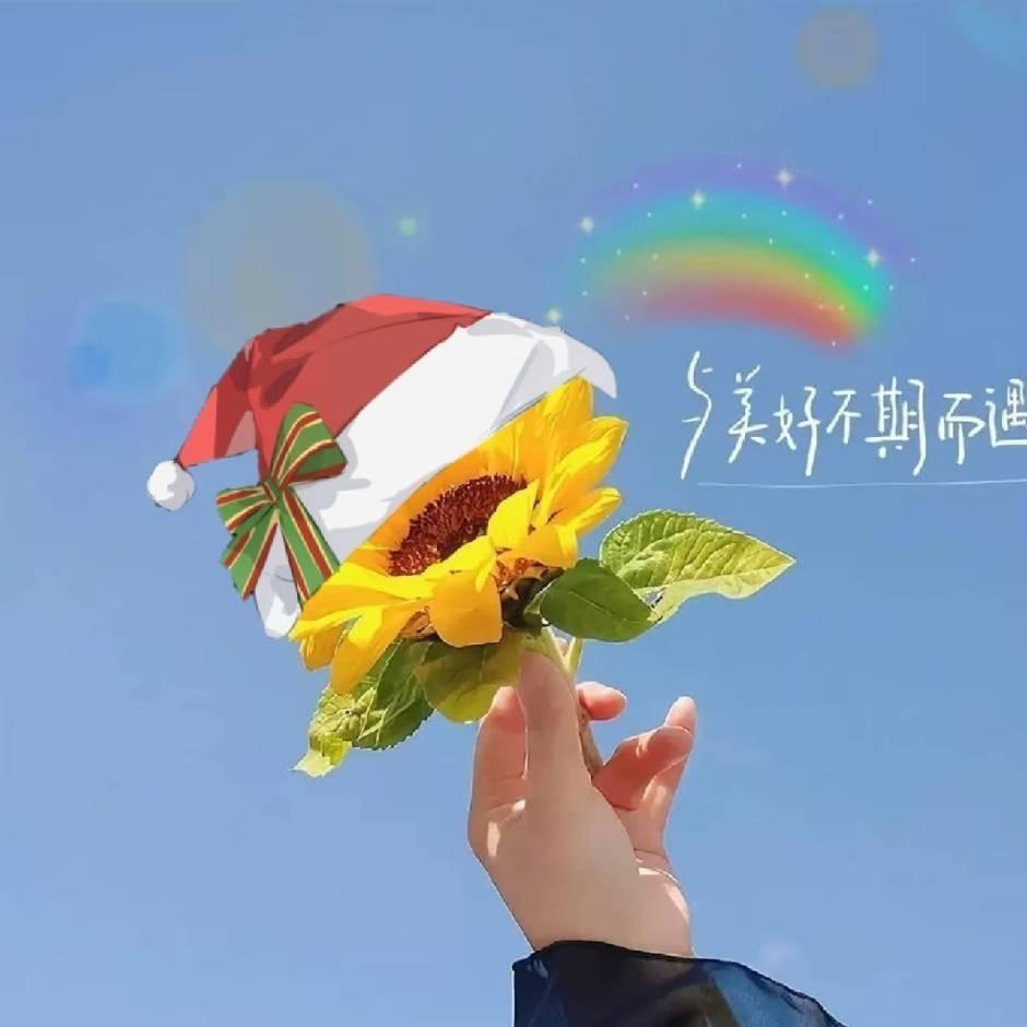 向阳花开