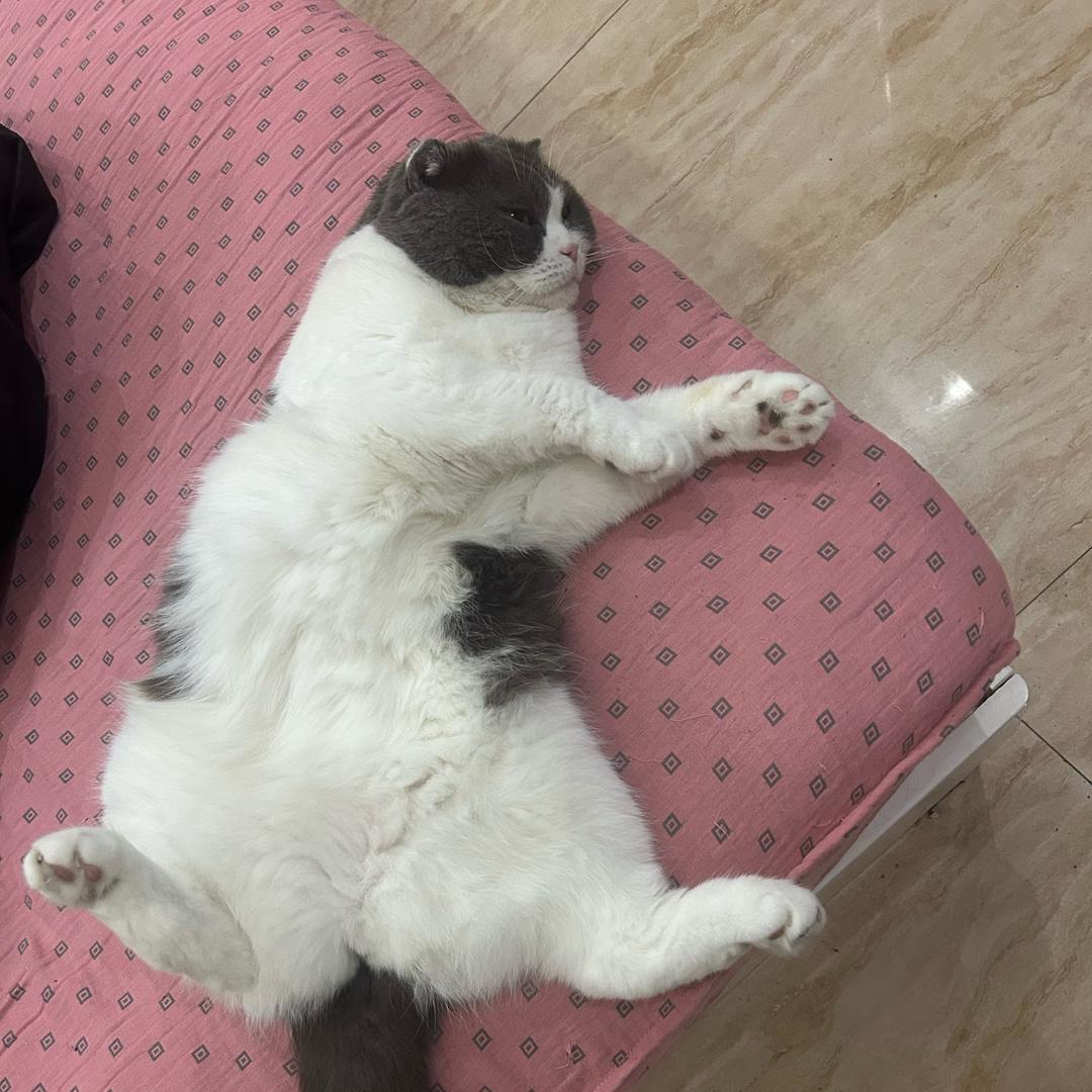 八九不离十