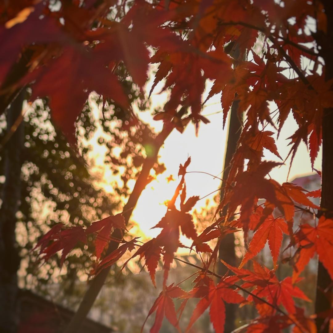 等闲