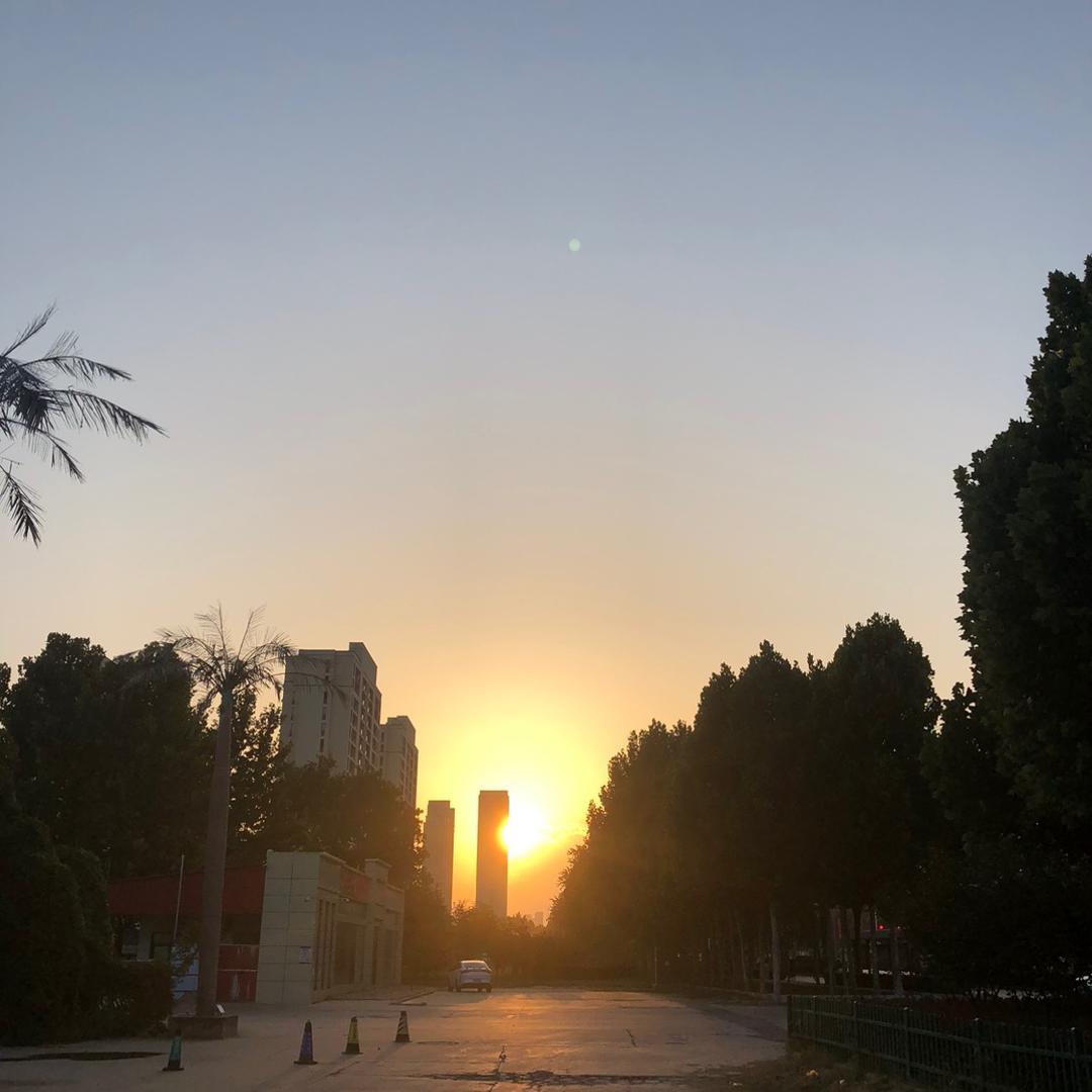 枪手玫瑰