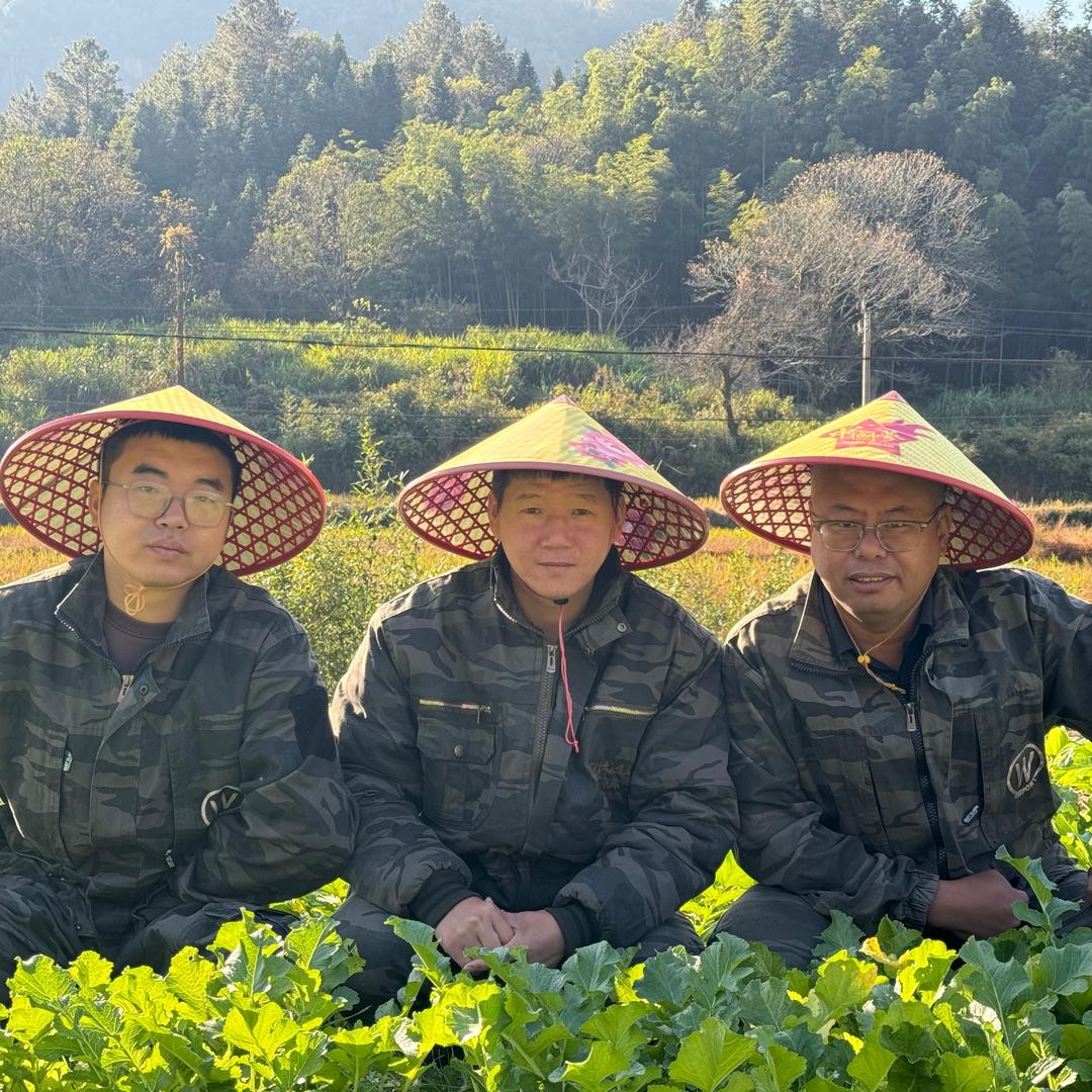 小鱼回乡(招学徒）