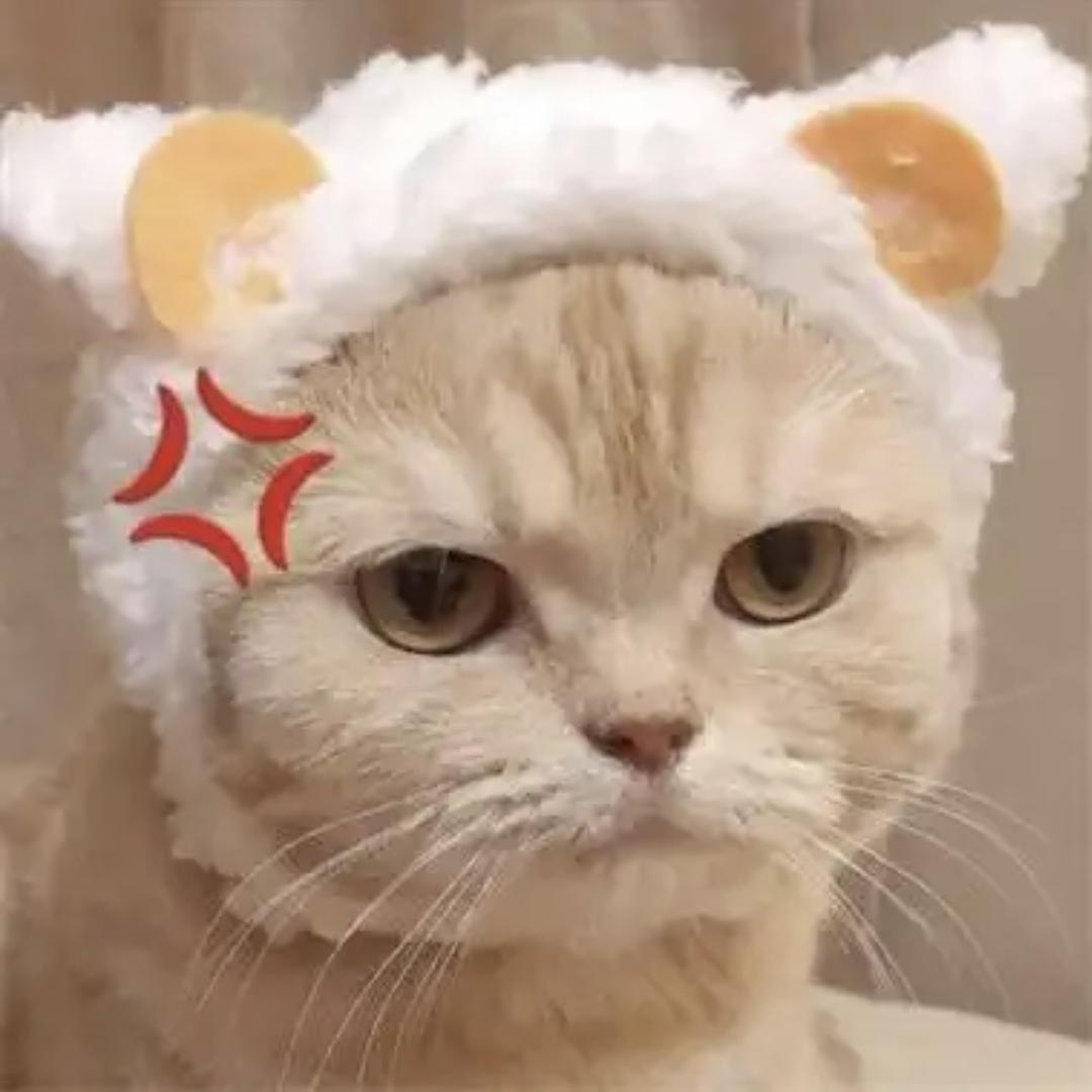 北屿