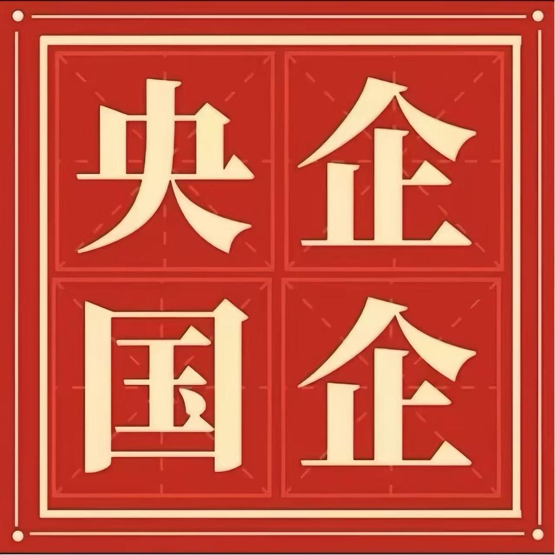 小李老师央国企陪跑