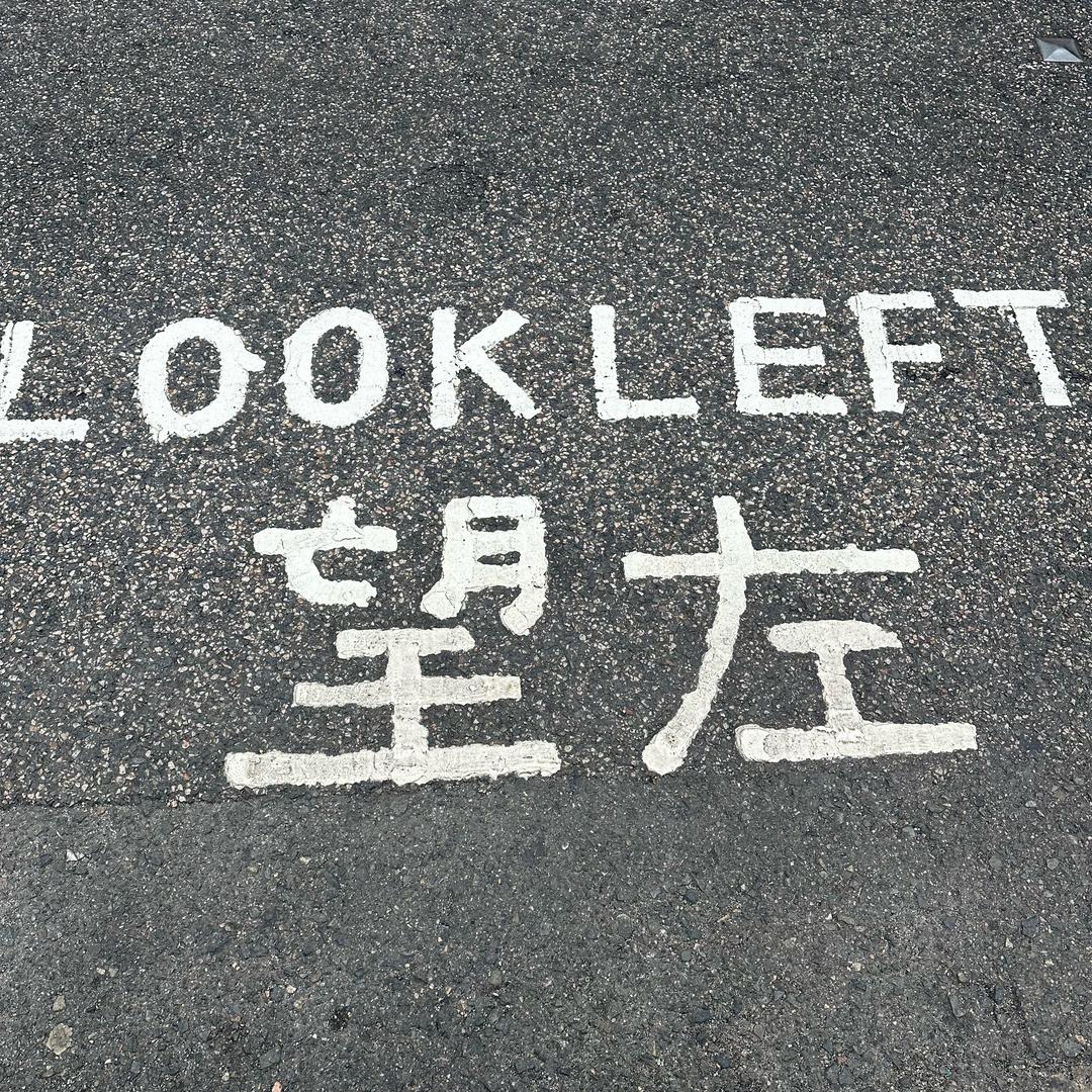今晚打老虎🐯？