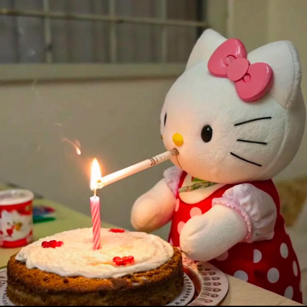一坨肥猫_
