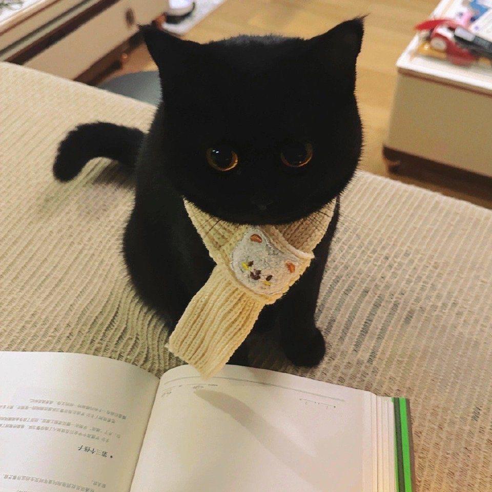 局弦