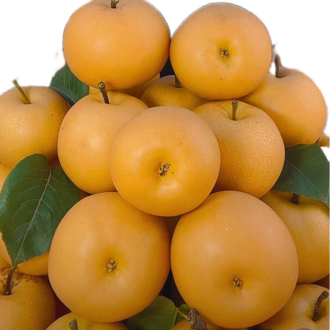 孙鲜生三农精选店