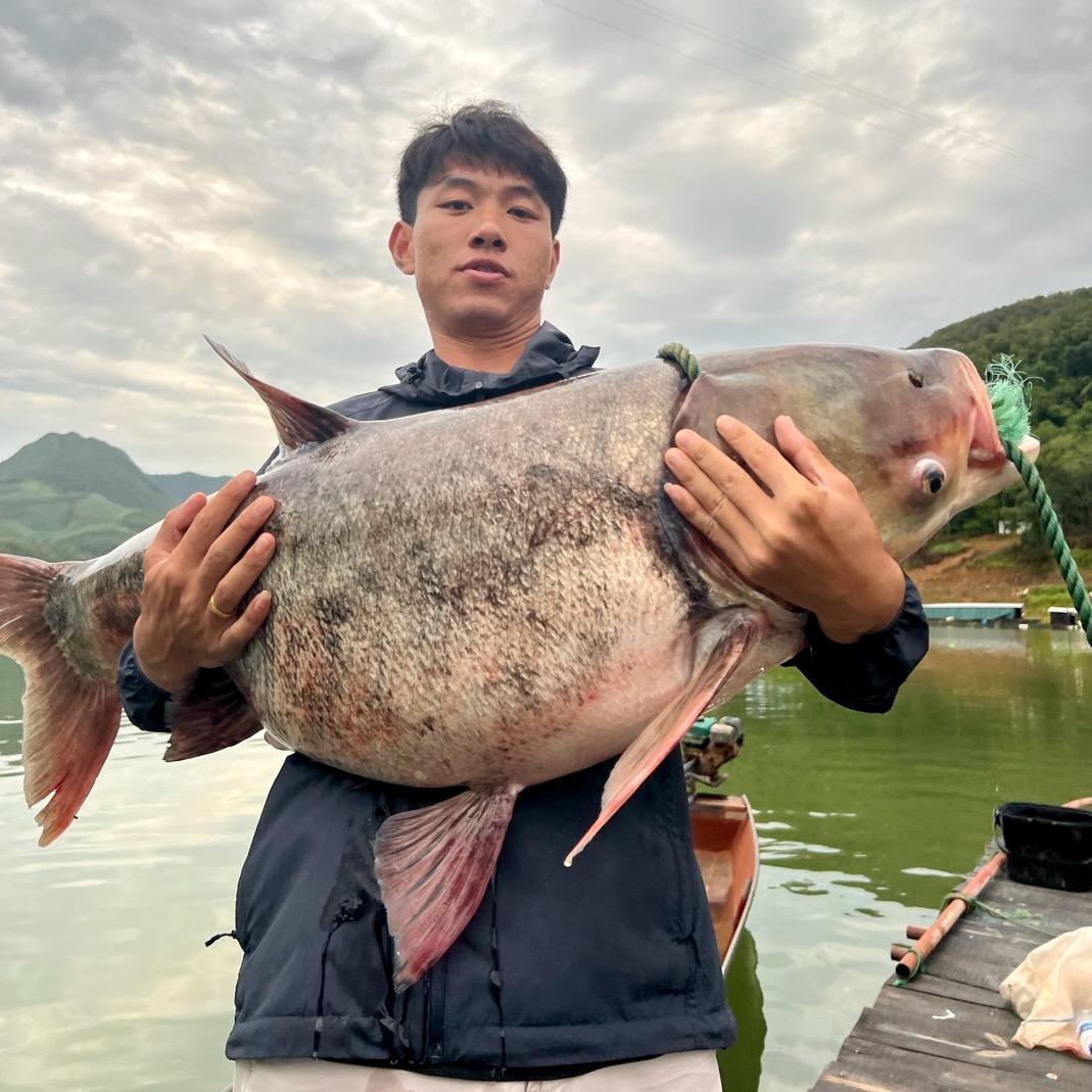 安公子🎣