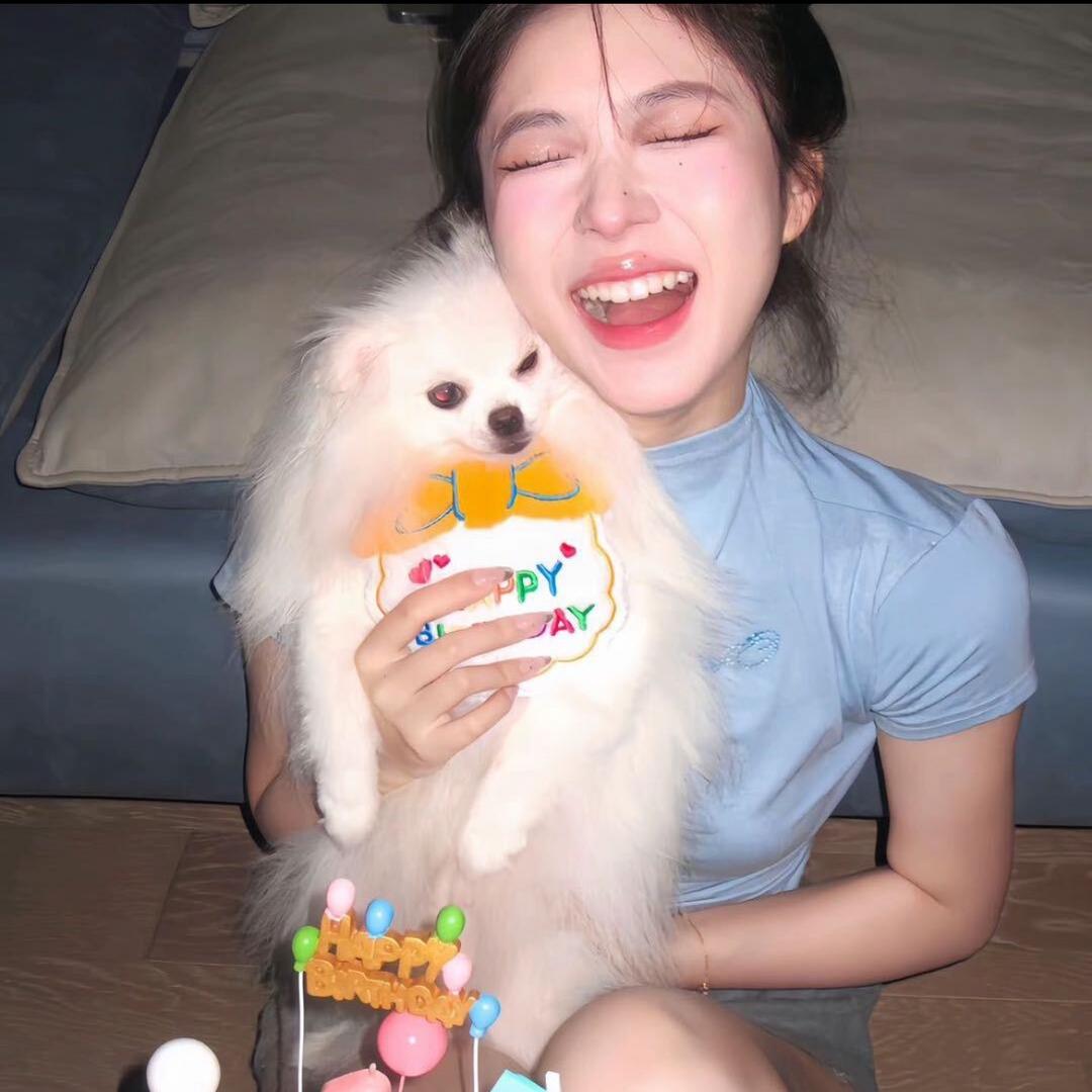 猫猫公主👸